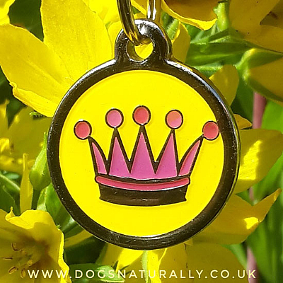 Pink Crown Dog ID Tag (3x Sizes)